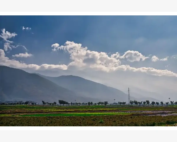 气血不足，舌头厚腻，中医视角解析健康之道